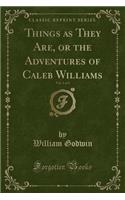 Things as They Are, or the Adventures of Caleb Williams, Vol. 1 of 3 (Classic Reprint): (English)