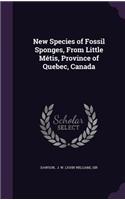 New Species of Fossil Sponges, from Little Metis, Province of Quebec, Canada