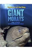 Giant Morays and Other Extraordinary Eels