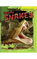 Deadly Snakes