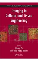 Imaging in Cellular and Tissue Engineering