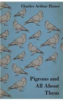 Pigeons and All about Them
