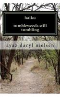 haiku tumbleweeds still tumbling