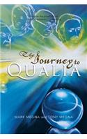 The Journey to Qualia
