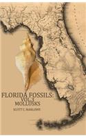 Florida Fossils: Mollusks