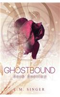 Ghostbound 3 - US-Edition