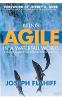 Being Agile in a Waterfall World