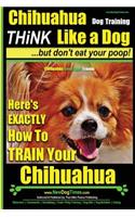 Chihuahua, Chihuahua Training AAA AKC Think Like a Dog - But Don't Eat Your Po: Here's EXACTLY How To Train Your Chihuahua