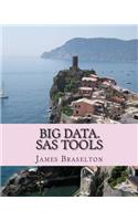 Big Data. SAS Tools