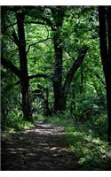 Woodland Path Journal