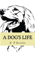 A Dog's Life