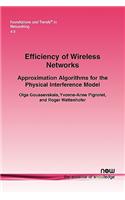 Efficiency of Wireless Networks