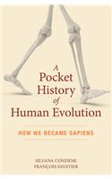Pocket History of Human Evolution