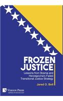 Frozen Justice: Lessons from Bosnia and Herzegovina's Failed Transitional Justice Strategy