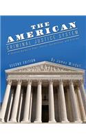 The American Criminal Justice System