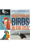 Most Popular Birds In The USA