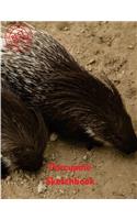 Porcupine Sketchbook: (Sketchbook for Teens)