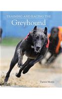 Training and Racing the Greyhound