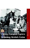 Cobiau Campus Cymru / Winning Welsh Cobs