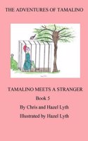 Adventures of Tamalino