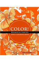 Color! Whimsical Fancies Adult Coloring Book