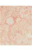 Pink Marble Large Dot Journal