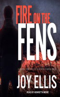 Fire on the Fens: (9 DI Nikki Galena)