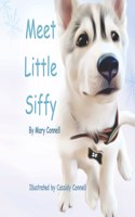 Meet Little Siffy