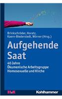 Aufgehende Saat