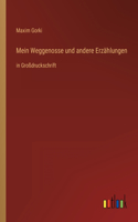 Mein Weggenosse und andere Erzählungen