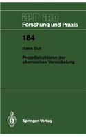 Prozeßstrukturen Der Chemischen Vernickelung