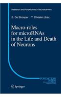 Macro Roles for Micrornas in the Life and Death of Neurons