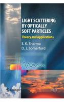 Light Scattering by Optically Soft Particles