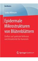 Epidermale Mikrostrukturen von Blütenblättern: Einfluss auf spektrale Reflexion und Attraktivität für Hummeln(BestMasters)