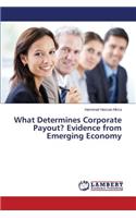 What Determines Corporate Payout? Evidence from Emerging Economy