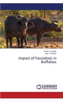 Impact of Fasciolosis in Buffaloes