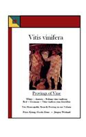 Vitis vinifera - Provings of Vine