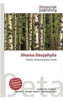 Shorea Dasyphylla: (English)