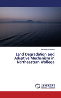 Land Degradation and Adaptive Mechanism in Northeastern Wollega