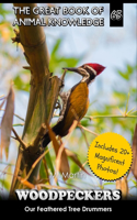 Woodpeckers: Our Feathered Tree Drummers