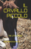 Il Cavallo Piccolo: The Little Horse(Un Piccolo Cavallo)