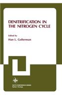 Denitrification in the Nitrogen Cycle