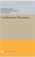 Combustion Processes