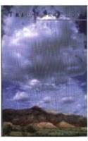 Triquarterly Issue 105