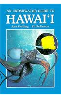An Underwater Guide to Hawaii
