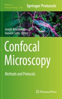 Confocal Microscopy