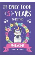 It Only Took 5 Years To Be This Awesome