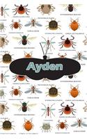 Ayden: Bug Insect Journal Notebook 120 Pages 6x9