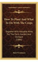 How to Plant and What to Do with the Crops