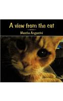 View from the Cat